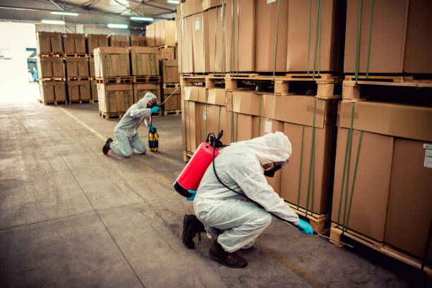Best Pest Control Near Me  in Salinas, CA