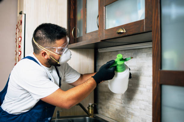 Best Mosquito Control Services  in Salinas, CA