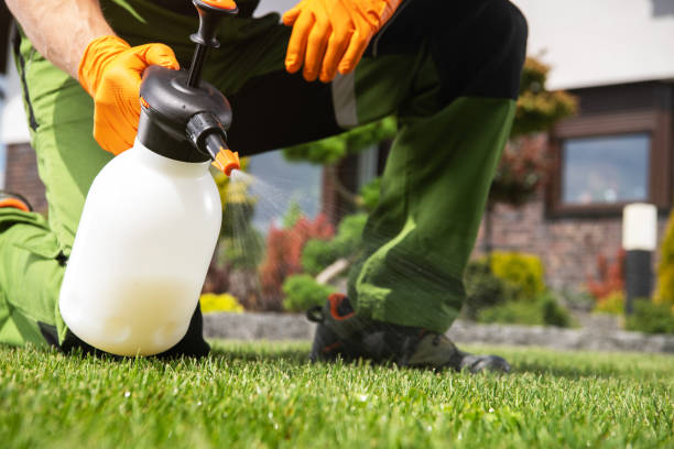 Best Pest Prevention Services  in Salinas, CA