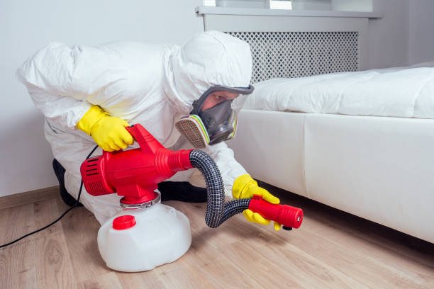 Best Local Pest Control Services  in Salinas, CA