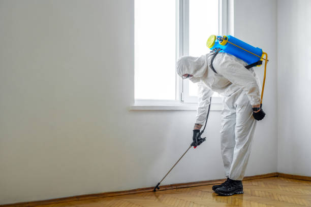 Best Pest Prevention Services  in Salinas, CA