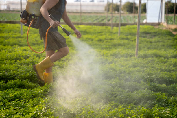 Best Affordable Pest Control Services  in Salinas, CA
