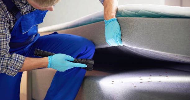 Reliable Salinas, CA Pest Control Solutions