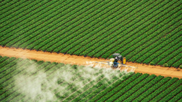 Pest Prevention Services in Salinas, CA