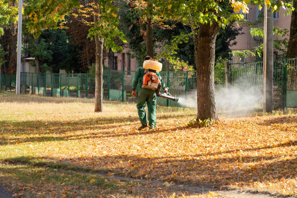 Best Pest Control Near Me  in Salinas, CA