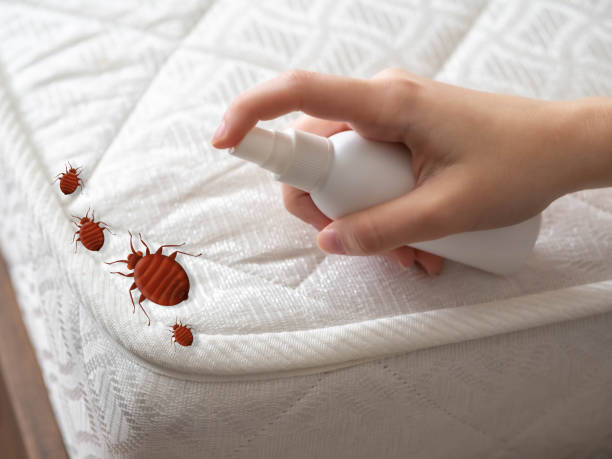 Pest Control Cost in Salinas, CA